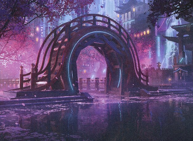 Dismal Backwater